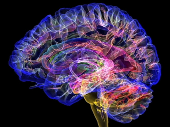 巨屌老外大脑植入物有助于严重头部损伤恢复